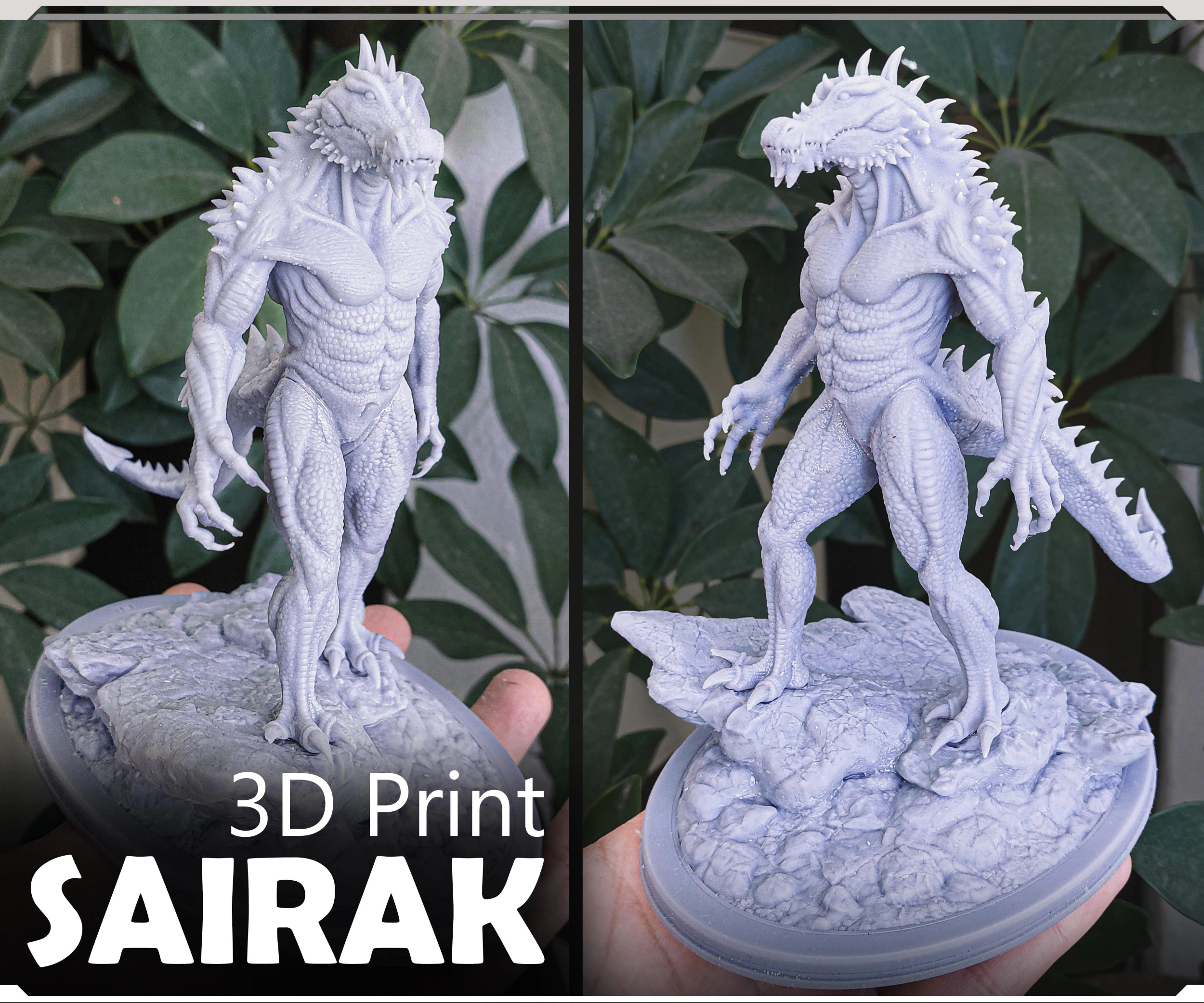 Sairak Dragons SHadow 3D Print Model .c4d .max .obj .3ds .fbx .stl .blend