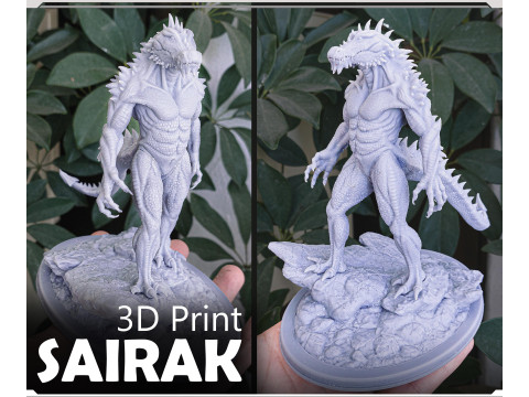 Sairak Dragons SHadow 3D Print Model