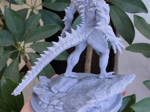 Sairak Dragons SHadow 3D Print Model