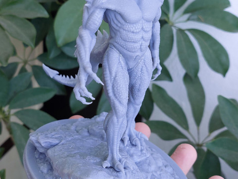Sairak Dragons SHadow 3D Print Model