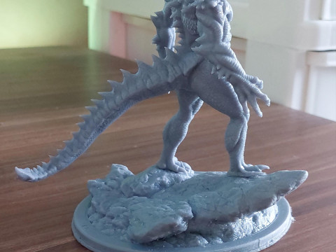 Sairak Dragons SHadow 3D Print Model