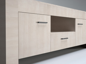 cabinet for tv 3D Model