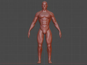 male body 3D Model