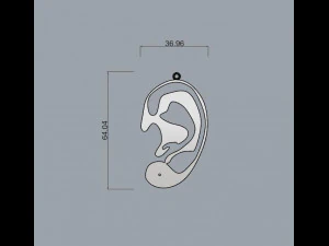 ear 3D Print Model