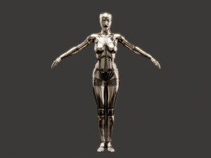 silver female robot fully rigged Modèle 3D