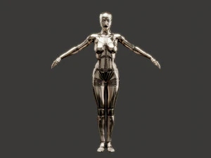 silver female robot fully rigged 3D Model