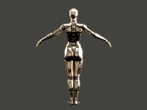 silver female robot fully rigged 3D Model