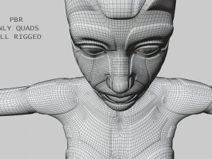 silver female robot fully rigged 3D Model