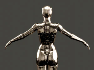 silver female robot fully rigged 3D Model
