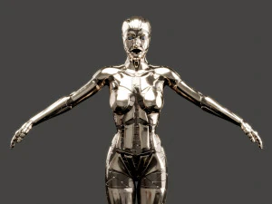 silver female robot fully rigged 3D Model