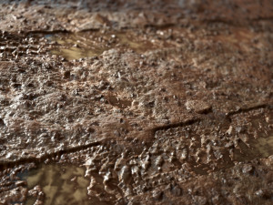 mud land CG Texturen