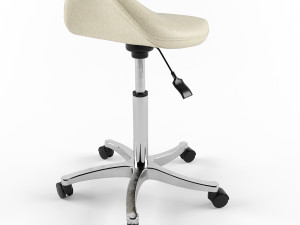chair-saddle Model 3D