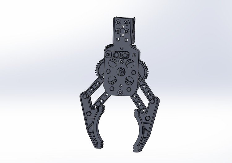 Manipulator gripper 2025
