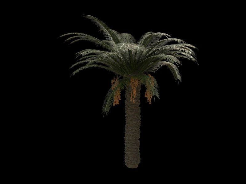 palm trees pack 3D Model .c4d .max .obj .3ds .fbx .stl .blend