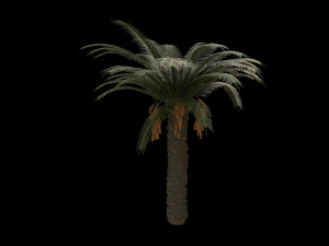 palm trees pack 3D Model