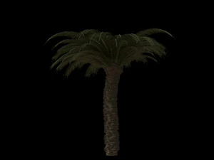 palm trees pack 3D Model