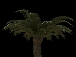 palm trees pack 3D Model
