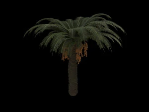 palm trees pack 3D Model