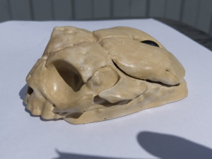 computer mouse skull Modelo de Impressão 3D