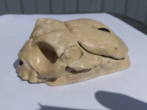computer mouse skull 3D Print Model