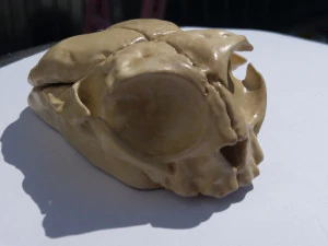 computer mouse skull 3D Print Model