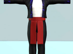Hmong traditions 3D Model