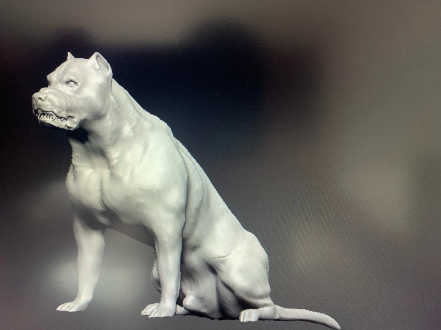 pitbull 3D Model .c4d .max .obj .3ds .fbx .stl .blend 