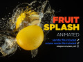 fruit splash Modèle 3D