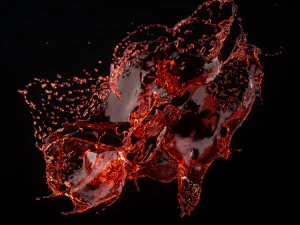 fruit splash 3D Model
