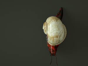 firesnail cinema 4d only octane render 3D Model