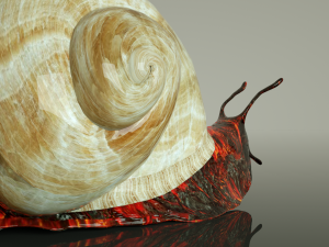 firesnail cinema 4d only octane render 3D Model