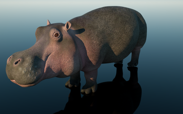 hippopotamus Model 3D .c4d .max .obj .3ds .fbx .stl .blend 