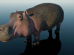 hippopotamus 3D-Modell