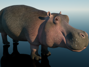 hippopotamus Model 3D