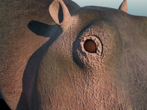 hippopotamus Model 3D