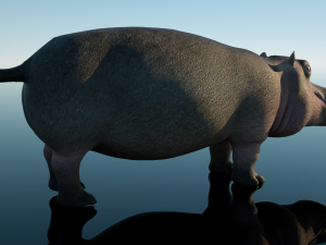 hippopotamus Model 3D