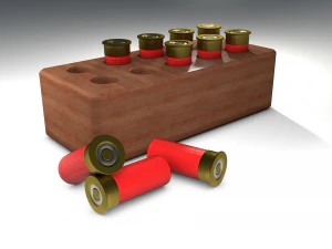 shotbullet 3D Model