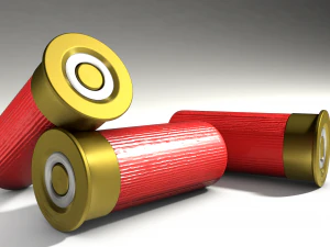 shotbullet 3D Model