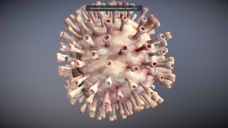 coronavirus 3D Модель .c4d .max .obj .3ds .fbx .stl .blend 