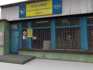soviet village shop 3D Model