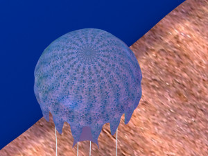 jellyfish Modelo 3D