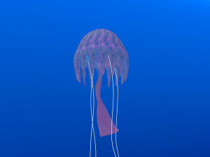 jellyfish Modelo 3D