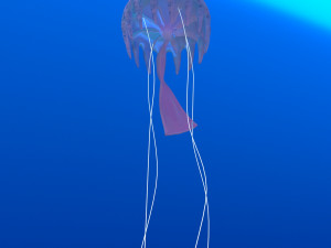 jellyfish Modelo 3D