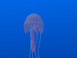 jellyfish Modelo 3D