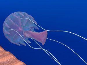 jellyfish Modelo 3D