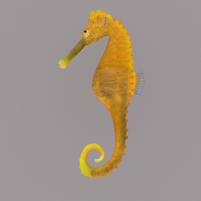 seahorse Modèle 3D .c4d .max .obj .3ds .fbx .stl .blend 