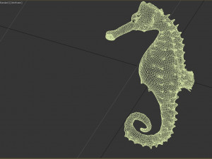 seahorse Modèle 3D