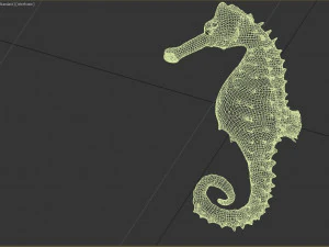 caballito de mar Modelo 3D