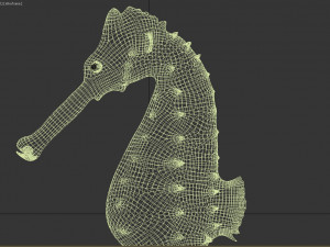 seahorse Modèle 3D