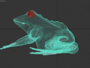 frog 3D Model